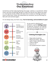 Understanding Our Emotions Resource