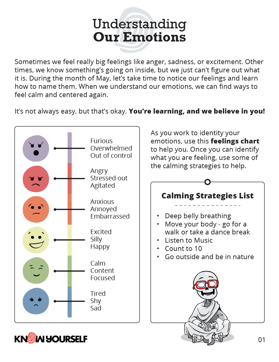 Understanding Our Emotions Resource