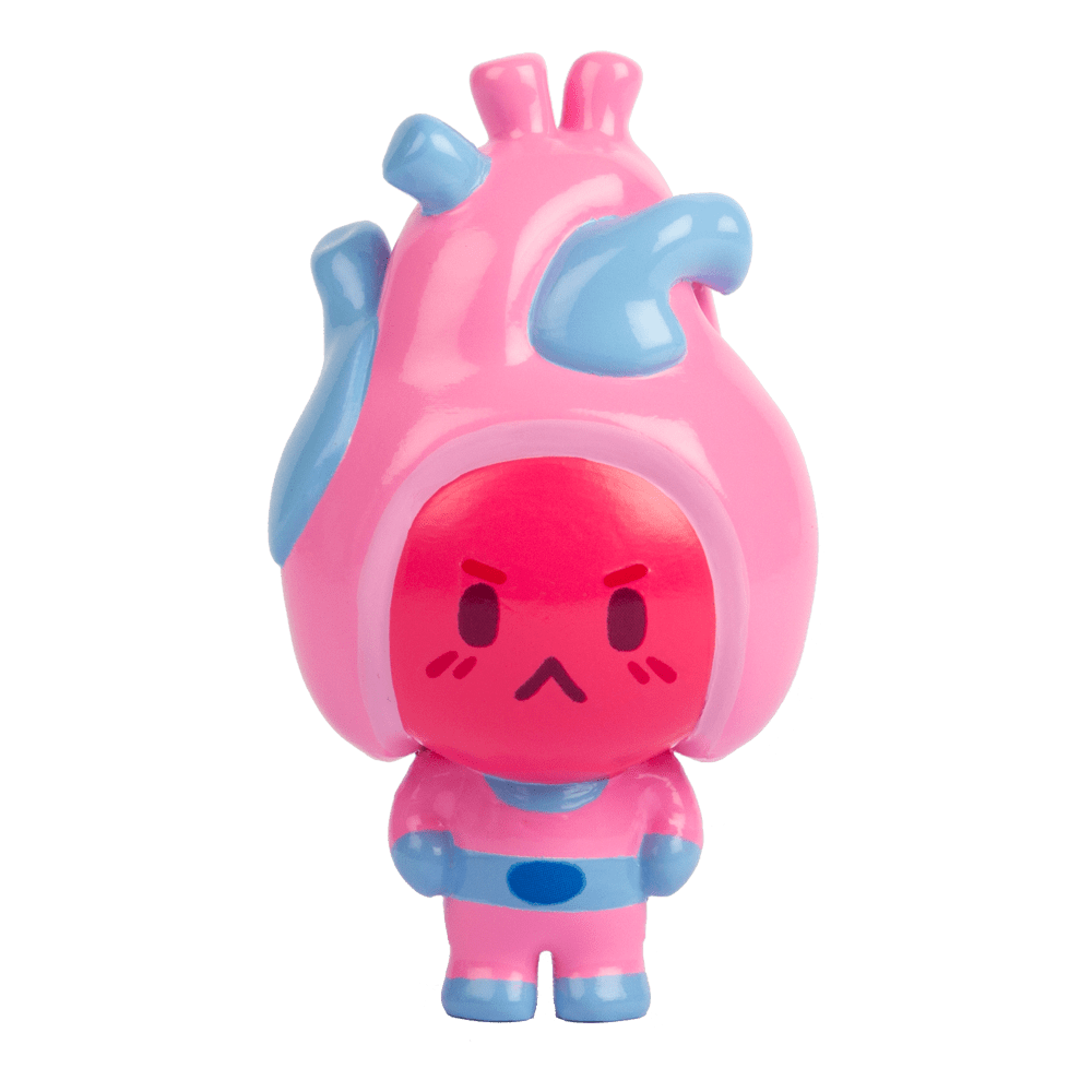 Heart Toy | Captain Aorta Hart | Know Yourself Anatomy Toys for Kids