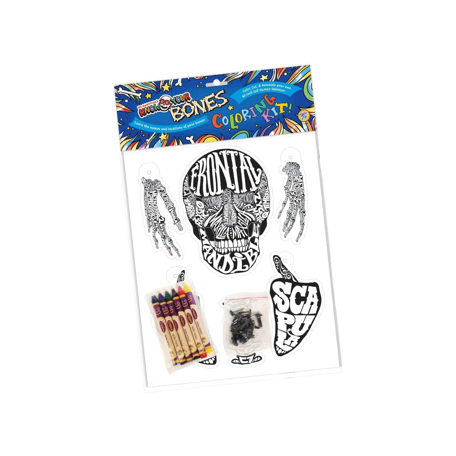 Dr. Bonyfide's Know Your Bones: Coloring Kit Health Education for Children