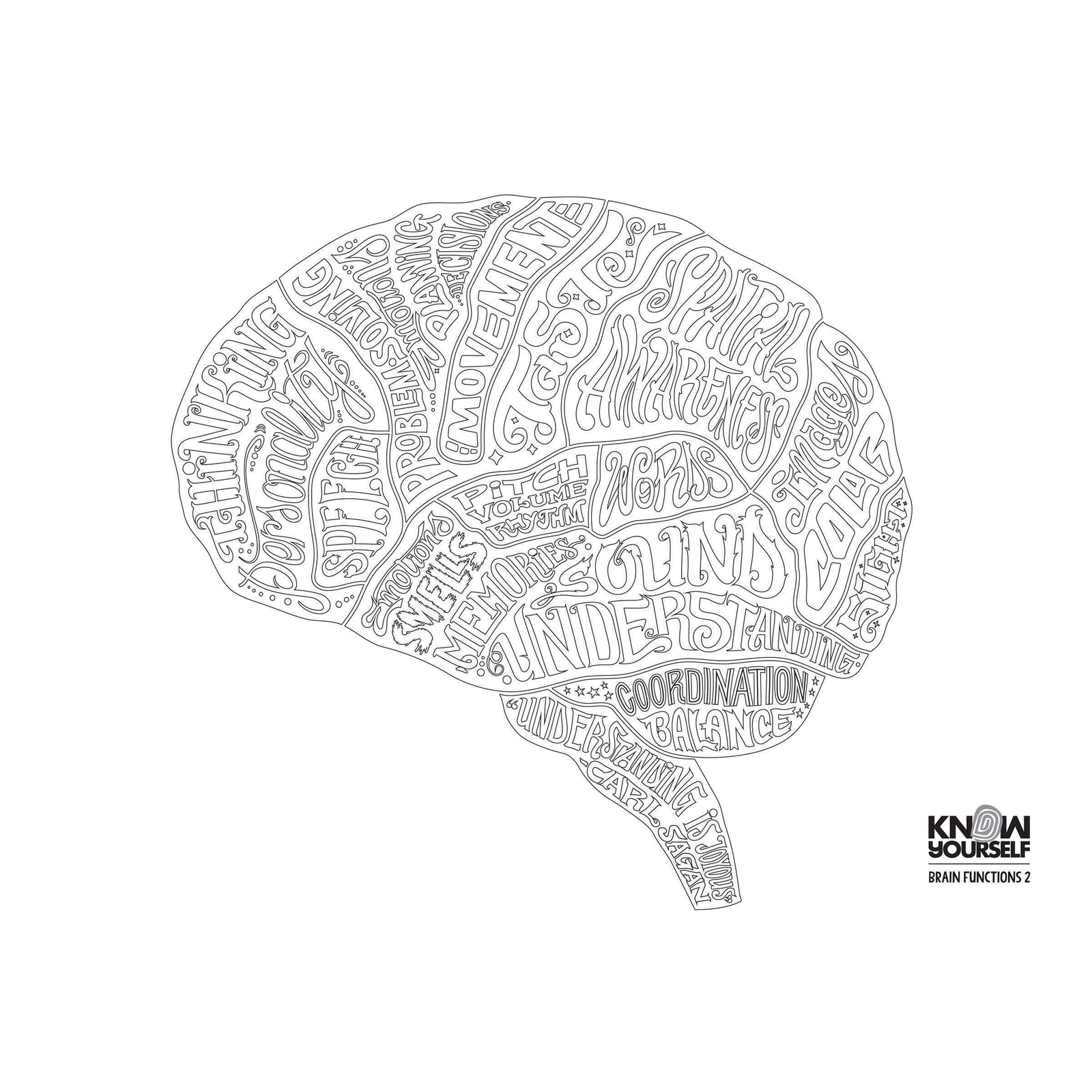 The Brain Feelings - All Ages Anatomy Coloring Series Health Education for Children