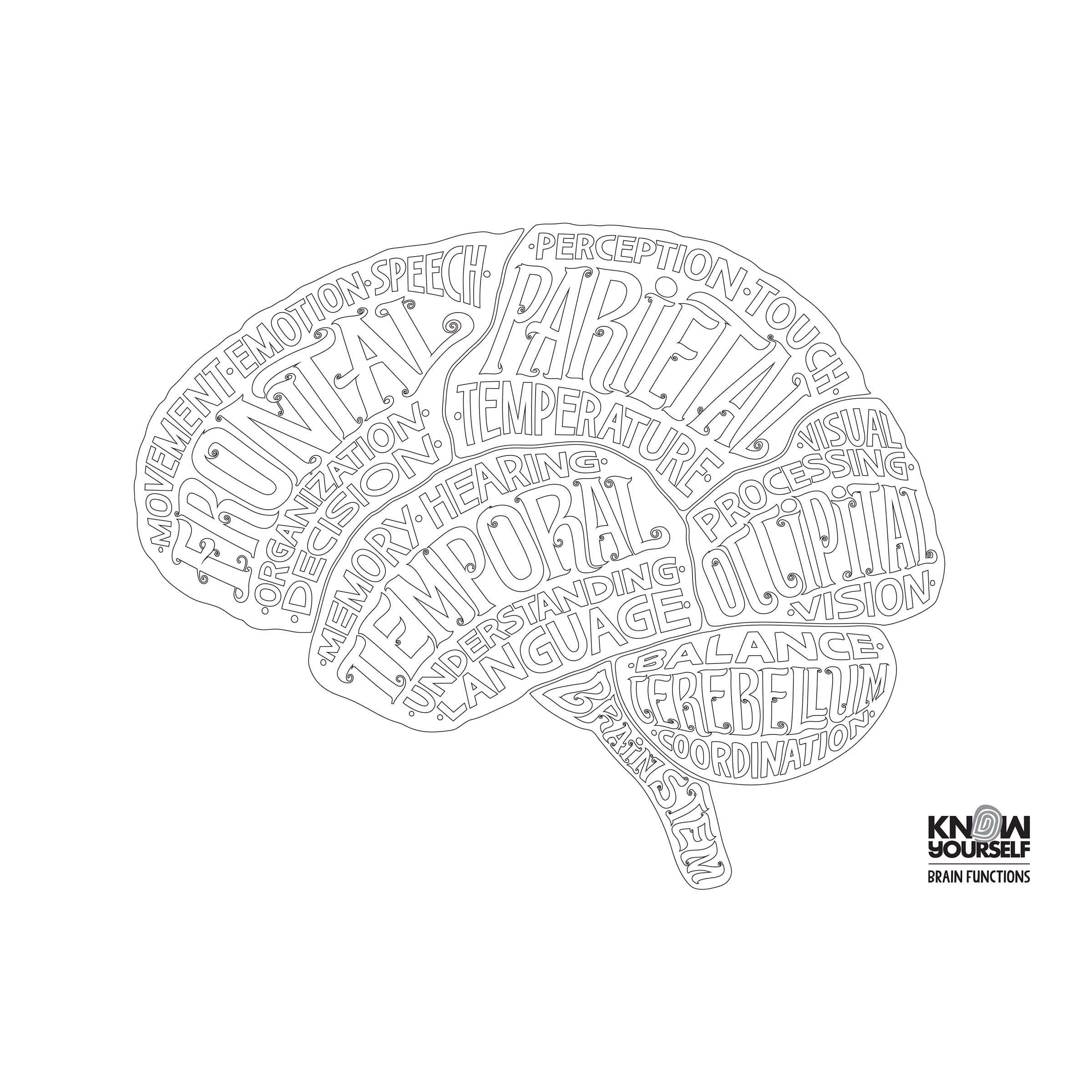 Coloring Printable Brain